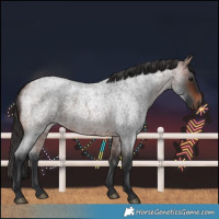 Horse Color:Bay Roan 