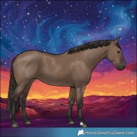 Horse Color:Liver Red Dun 