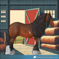 Horse Color:Bay Tobiano