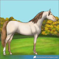 Horse Color:Bay Pearl Dun