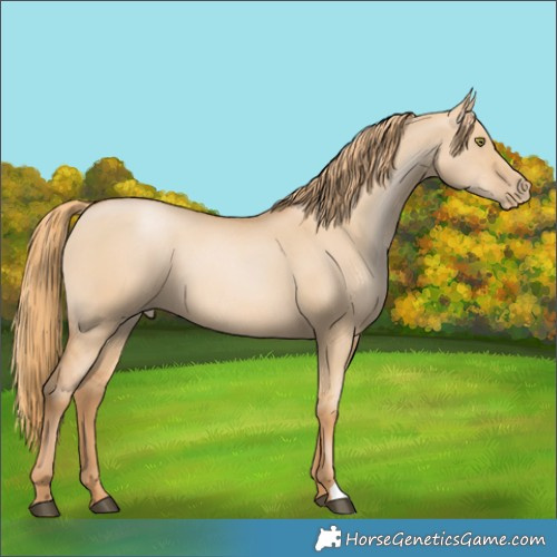 Horse Color:Red Dun Pearl 