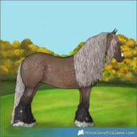 Horse Color:Silver Brown Dun 