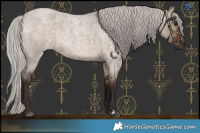 Horse Color:Silver Brown Roan Dun