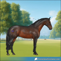 Horse Color:Brown 
