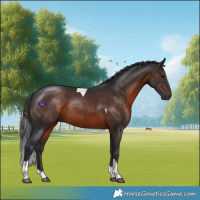 Horse Color:Brown Tobiano Rabicano