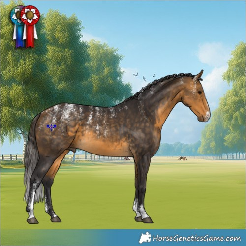 Horse Color:Powder White Buckskin Rabicano 