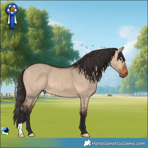 Horse Color:Bay Dun 