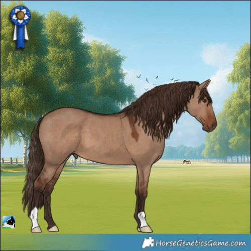 Horse Color:Liver Red Dun 