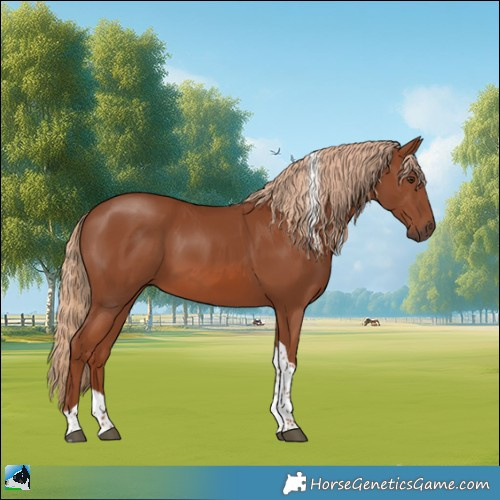 Horse Color:Chestnut Tobiano 