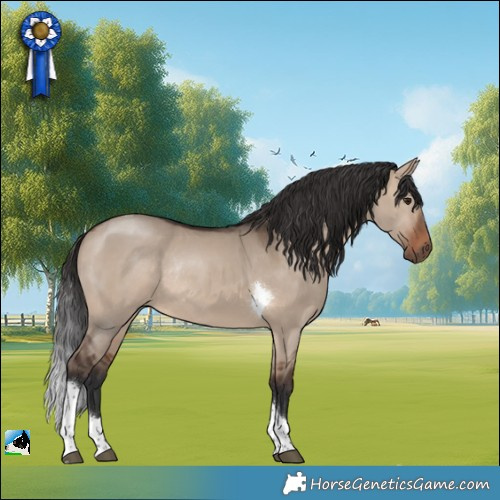 Horse Color:Brown Dun Tobiano Rabicano 