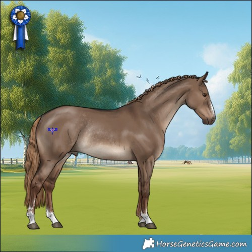Horse Color:Liver Red Dun Rabicano