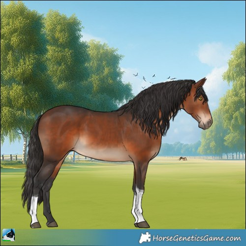 Horse Color:Brown Tobiano 