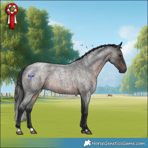 Horse Color:Brown Roan