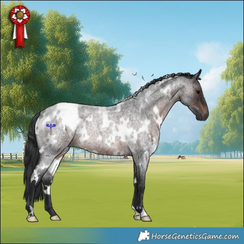 Horse Color:White Spotted Brown Roan Rabicano
