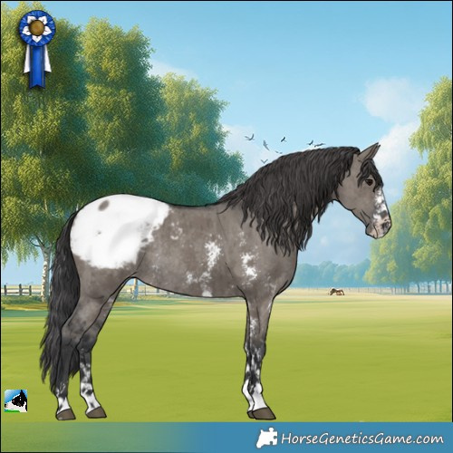 Horse Color:Grullo Sabino Appaloosa Rabicano Brindle 