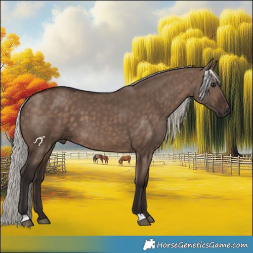Horse Color:Silver Brown Dun