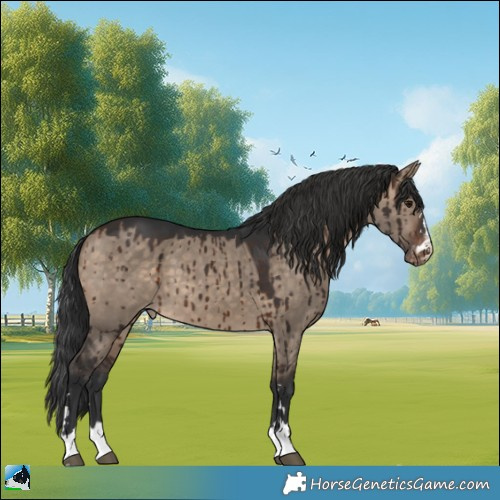 Horse Color:Brown Dun Varnish Brindle 