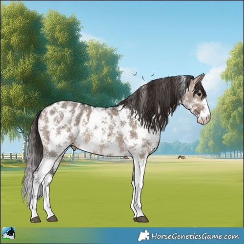Horse Color:Brown Dun Sabino Appaloosa Rabicano Brindle 