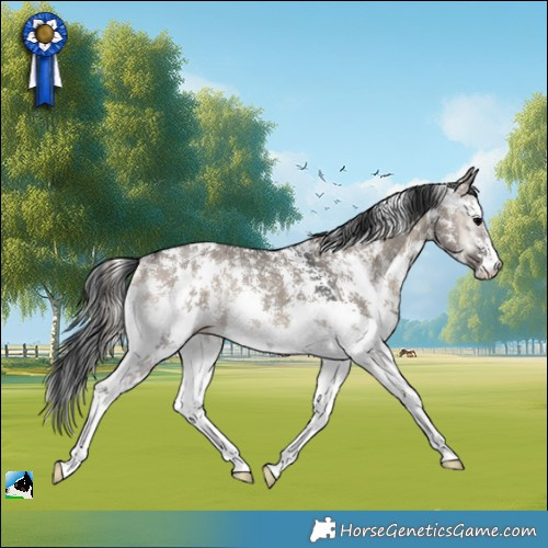 Horse Color:Grullo Onyx Sabino Rabicano 