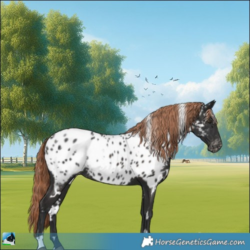 Horse Color:White Spotted Liver Chestnut Appaloosa Rabicano 