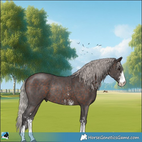 Horse Color:Silver Brown Sabino Rabicano 