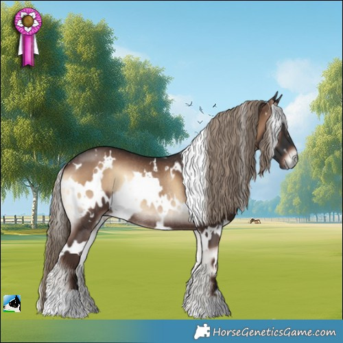 Horse Color:White Spotted Liver Red Onyx Rabicano 