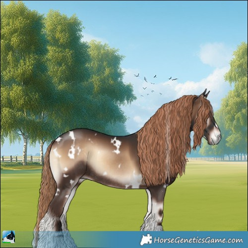 Horse Color:White Spotted Liver Red Onyx Rabicano 