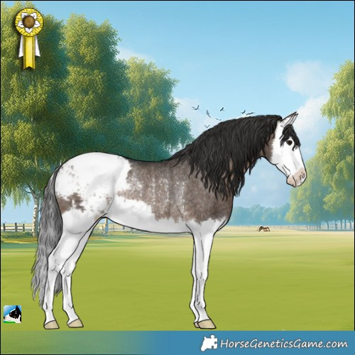 Horse Color:Brown Dun Splash Appaloosa Rabicano Brindle 