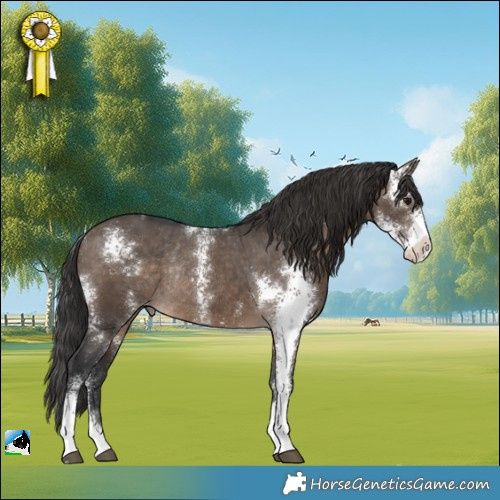Horse Color:Brown Dun Sabino Appaloosa Rabicano 