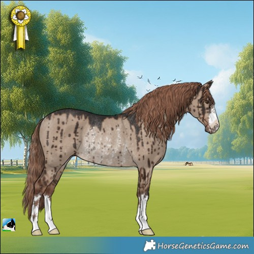 Horse Color:Liver Red Dun Rabicano Brindle 