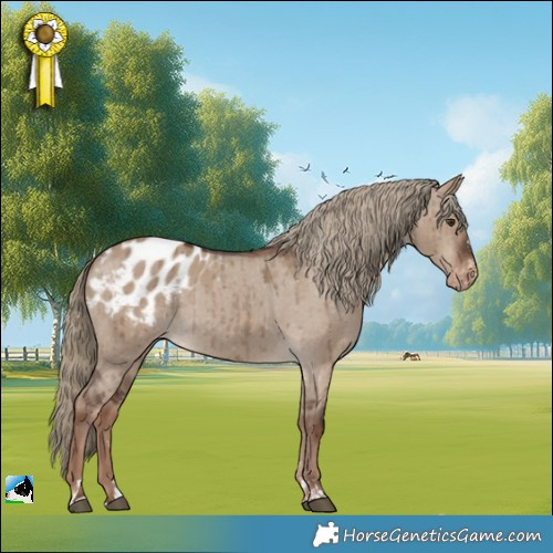 Horse Color:Liver Red Dun Appaloosa Rabicano Brindle 