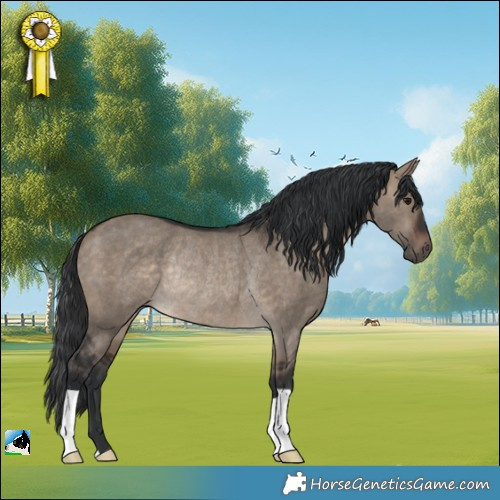 Horse Color:Brown Dun Rabicano 