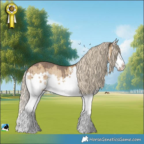 Horse Color:Chocolate Palomino Dun Sabino Splash Appaloosa Rabicano Brindle 