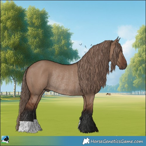 Horse Color:Liver Red Dun Rabicano 