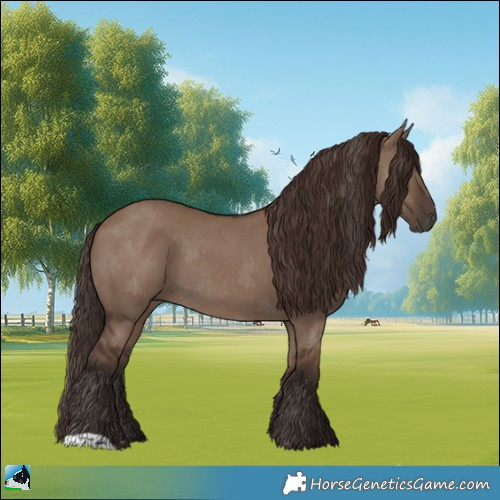 Horse Color:Liver Red Dun 