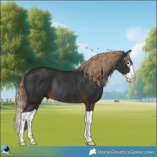 Horse Color:Liver Chestnut Splash Rabicano 