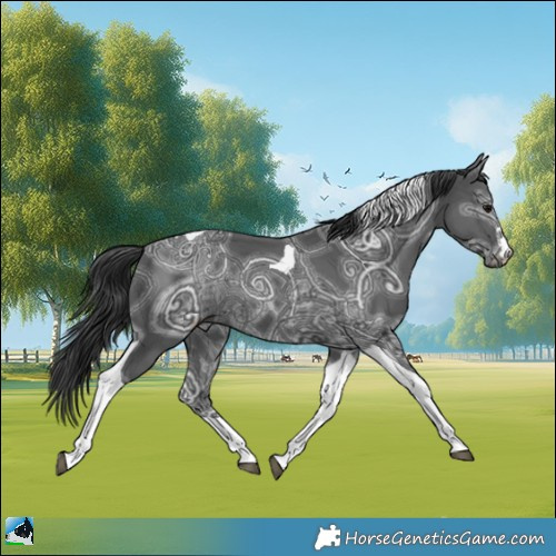 Horse Color:Black Ice Mushroom Tobiano 