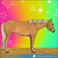 Horse Color:Palomino 
