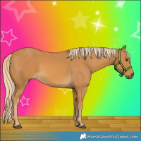 Horse Color:Palomino