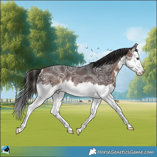 Horse Color:White Spotted Brown Ice Mushroom Splash 
