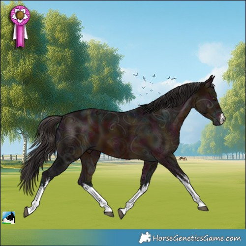 Horse Color:White Spotted Midnight Bay Ice Mushroom 