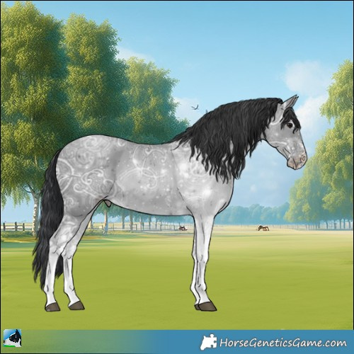 Horse Color:Black Ice Sabino Tobiano Rabicano 