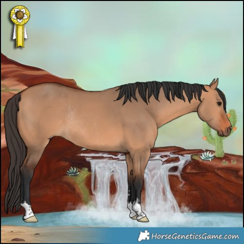 Horse Color:Bay Dun Rabicano 