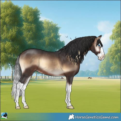 Horse Color:Brown Onyx Splash Rabicano 