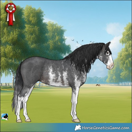 Horse Color:White Spotted Brown Splash Rabicano 