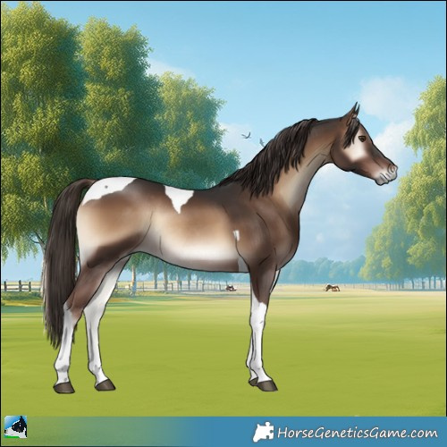Horse Color:Liver Red Onyx Tobiano Rabicano 