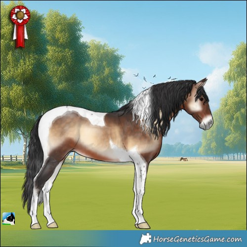 Horse Color:Brown Onyx Tobiano