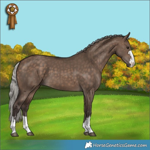 Horse Color:Silver Brown Dun 