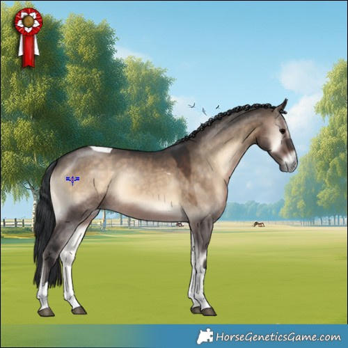 Horse Color:Brown Onyx Tobiano 