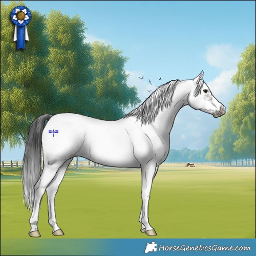 Horse Color:White Spotted Grullo Tobiano Frame Rabicano